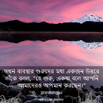 Picture 03 - লূক 11:45 BENIRV - তখন ব্যবস্থার - Bible Verse Picture
