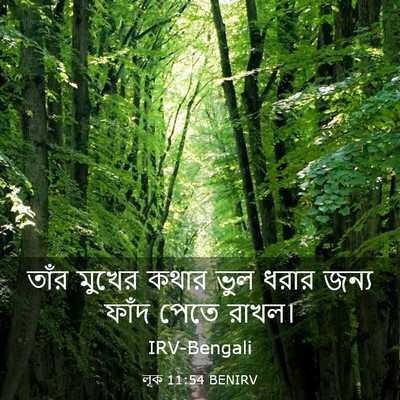 Picture 03 - লূক 11:54 BENIRV - তাঁর মুখের কথার - Bible Verse Picture