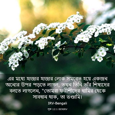 Picture 03 - লূক 12:1 BENIRV - এর মধ্যে হাজার - Bible Verse Picture