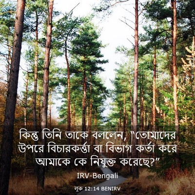 Picture 03 - লূক 12:14 BENIRV - কিন্তু তিনি তাকে - Bible Verse Picture