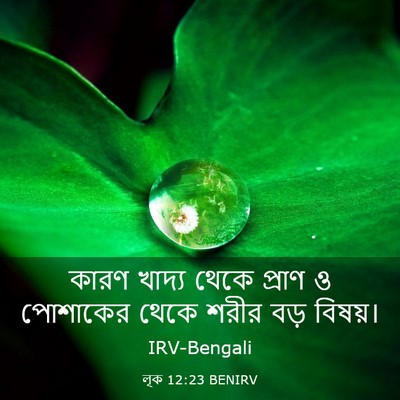 Picture 03 - লূক 12:23 BENIRV - কারণ খাদ্য থেকে - Bible Verse Picture