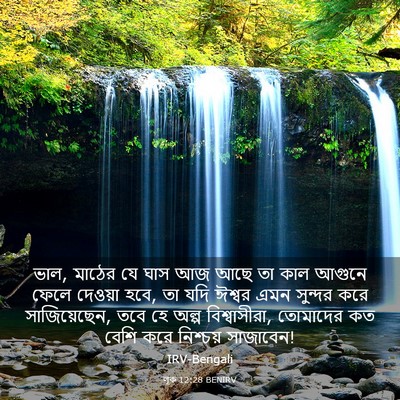Picture 03 - লূক 12:28 BENIRV - ভাল, মাঠের যে ঘাস - Bible Verse Picture