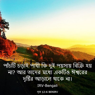 Picture 03 - লূক 12:6 BENIRV - পাঁচটি চড়াই পাখী - Bible Verse Picture
