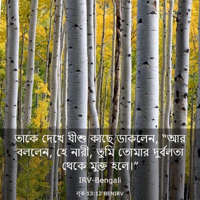 Picture 03 - লূক 13:12 BENIRV - তাকে দেখে যীশু - Bible Verse Picture