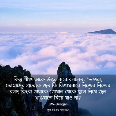 Picture 03 - লূক 13:15 BENIRV - কিন্তু যীশু তাকে - Bible Verse Picture