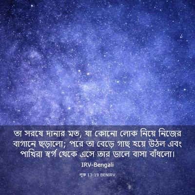 Picture 03 - লূক 13:19 BENIRV - তা সরষে দানার মত, - Bible Verse Picture
