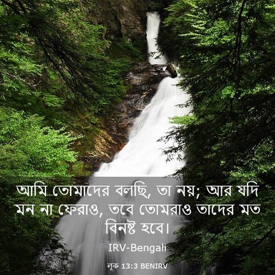 Picture 03 - লূক 13:3 BENIRV - আমি তোমাদের বলছি, - Bible Verse Picture