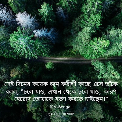 Picture 03 - লূক 13:31 BENIRV - সেই দিনের কয়েক জন - Bible Verse Picture