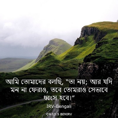 Picture 03 - লূক 13:5 BENIRV - আমি তোমাদের বলছি, - Bible Verse Picture