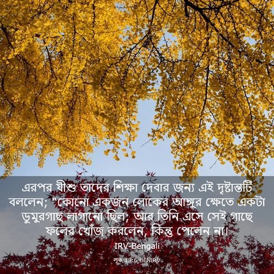 Picture 03 - লূক 13:6 BENIRV - এরপর যীশু তাদের - Bible Verse Picture