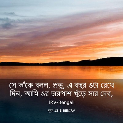 Picture 03 - লূক 13:8 BENIRV - সে তাঁকে বলল, - Bible Verse Picture