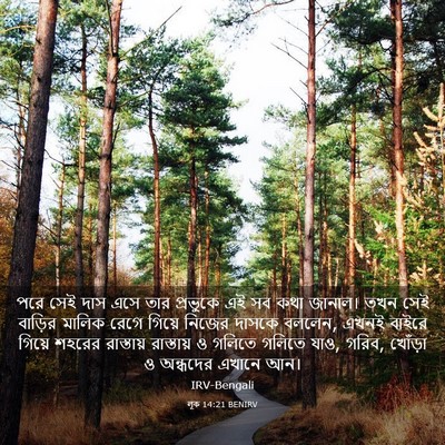 Picture 03 - লূক 14:21 BENIRV - পরে সেই দাস এসে তার - Bible Verse Picture