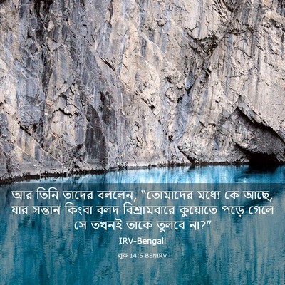 Picture 03 - লূক 14:5 BENIRV - আর তিনি তাদের - Bible Verse Picture