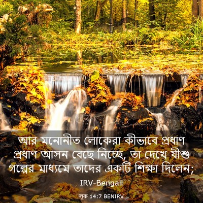 Picture 03 - লূক 14:7 BENIRV - আর মনোনীত লোকেরা - Bible Verse Picture