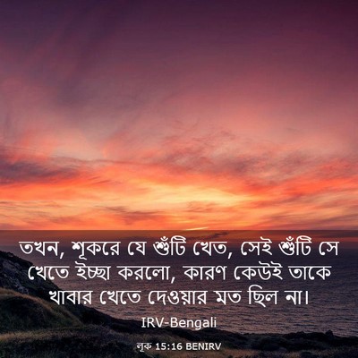 Picture 03 - লূক 15:16 BENIRV - তখন, শূকরে যে শুঁটি - Bible Verse Picture