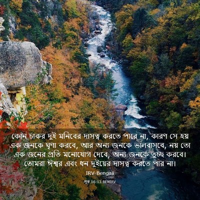 Picture 03 - লূক 16:13 BENIRV - কোন চাকর দুই - Bible Verse Picture