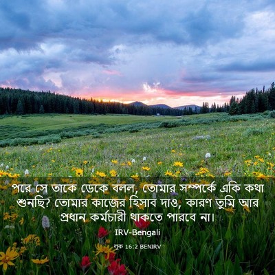 Picture 03 - লূক 16:2 BENIRV - পরে সে তাকে ডেকে - Bible Verse Picture