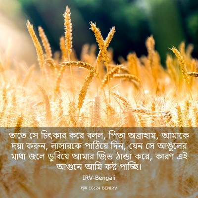 Picture 03 - লূক 16:24 BENIRV - তাতে সে চিৎকার করে - Bible Verse Picture
