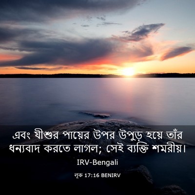 Picture 03 - লূক 17:16 BENIRV - এবং যীশুর পায়ের - Bible Verse Picture