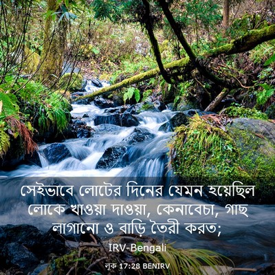 Picture 03 - লূক 17:28 BENIRV - সেইভাবে লোটের - Bible Verse Picture