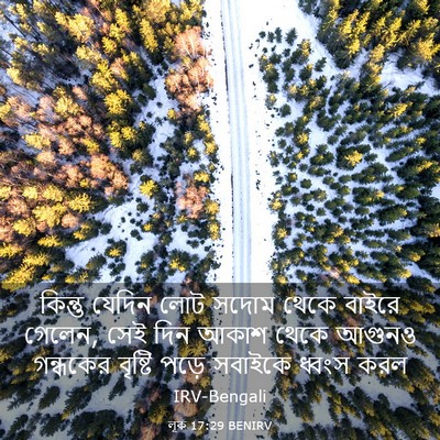 Picture 03 - লূক 17:29 BENIRV - কিন্তু যেদিন লোট - Bible Verse Picture