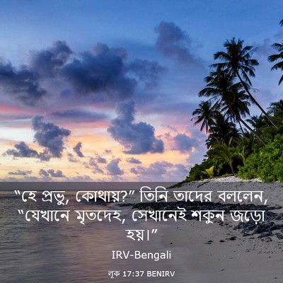 Picture 03 - লূক 17:37 BENIRV - “হে প্রভু, কোথায়?” - Bible Verse Picture