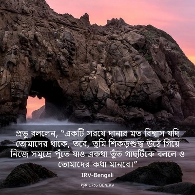 Picture 03 - লূক 17:6 BENIRV - প্রভু বললেন, “একটি - Bible Verse Picture