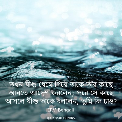 Picture 03 - লূক 18:40 BENIRV - তখন যীশু থেমে - Bible Verse Picture
