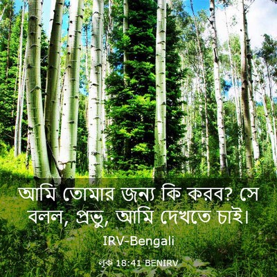 Picture 03 - লূক 18:41 BENIRV - আমি তোমার জন্য কি - Bible Verse Picture