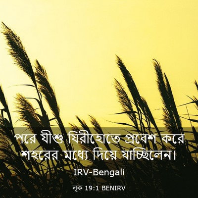 Picture 03 - লূক 19:1 BENIRV - পরে যীশু যিরীহোতে - Bible Verse Picture