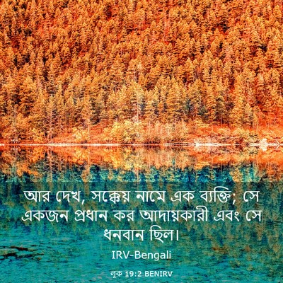 Picture 03 - লূক 19:2 BENIRV - আর দেখ, সক্কেয় - Bible Verse Picture