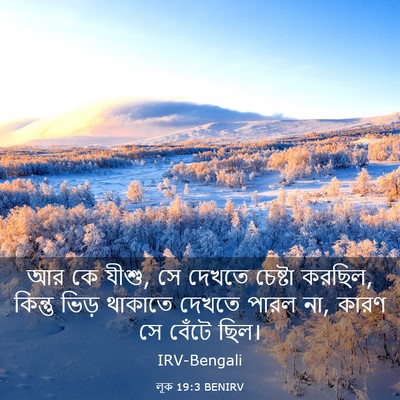Picture 03 - লূক 19:3 BENIRV - আর কে যীশু, সে - Bible Verse Picture