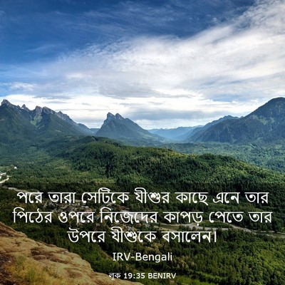 Picture 03 - লূক 19:35 BENIRV - পরে তারা সেটিকে - Bible Verse Picture