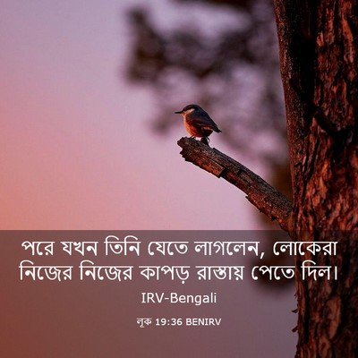 Picture 03 - লূক 19:36 BENIRV - পরে যখন তিনি যেতে - Bible Verse Picture