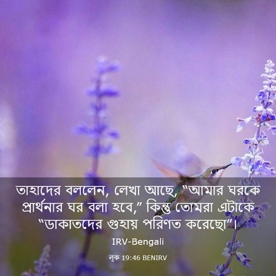 Picture 03 - লূক 19:46 BENIRV - তাহাদের বললেন, - Bible Verse Picture