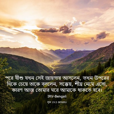 Picture 03 - লূক 19:5 BENIRV - পরে যীশু যখন সেই - Bible Verse Picture