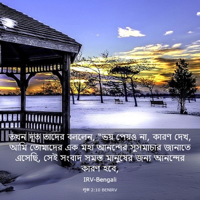 Picture 03 - লূক 2:10 BENIRV - তখন দূত তাদের - Bible Verse Picture