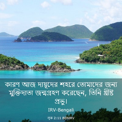 Picture 03 - লূক 2:11 BENIRV - কারণ আজ দায়ূদের - Bible Verse Picture