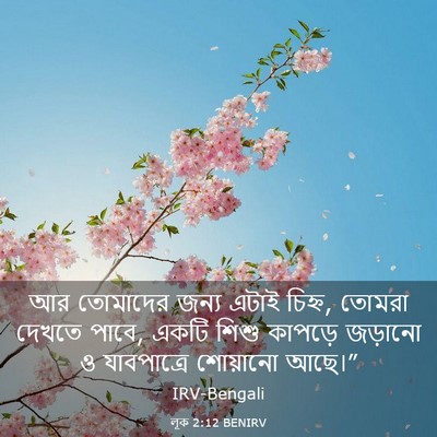Picture 03 - লূক 2:12 BENIRV - আর তোমাদের জন্য - Bible Verse Picture
