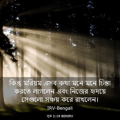 Picture 03 - লূক 2:19 BENIRV - কিন্তু মরিয়ম এসব - Bible Verse Picture