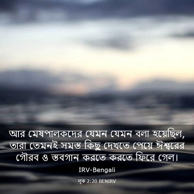 Picture 03 - লূক 2:20 BENIRV - আর মেষপালকদের - Bible Verse Picture