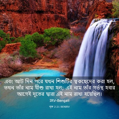 Picture 03 - লূক 2:21 BENIRV - এবং আট দিন পরে যখন - Bible Verse Picture