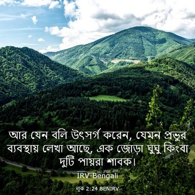 Picture 03 - লূক 2:24 BENIRV - আর যেন বলি উৎসর্গ - Bible Verse Picture