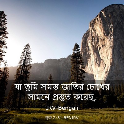 Picture 03 - লূক 2:31 BENIRV - যা তুমি সমস্ত - Bible Verse Picture
