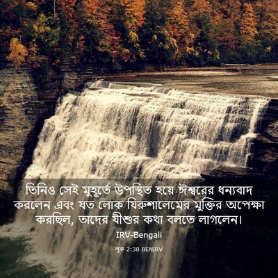 Picture 03 - লূক 2:38 BENIRV - তিনিও সেই - Bible Verse Picture