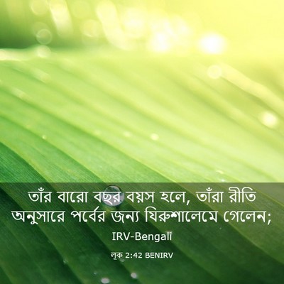 Picture 03 - লূক 2:42 BENIRV - তাঁর বারো বছর বয়স - Bible Verse Picture