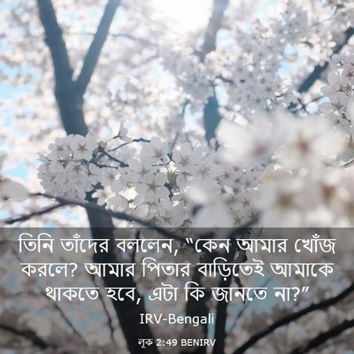Picture 03 - লূক 2:49 BENIRV - তিনি তাঁদের বললেন, - Bible Verse Picture