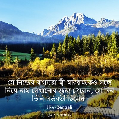 Picture 03 - লূক 2:5 BENIRV - সে নিজের বাগদত্তা - Bible Verse Picture