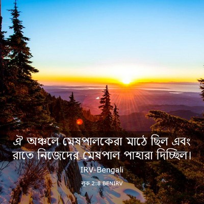 Picture 03 - লূক 2:8 BENIRV - ঐ অঞ্চলে - Bible Verse Picture