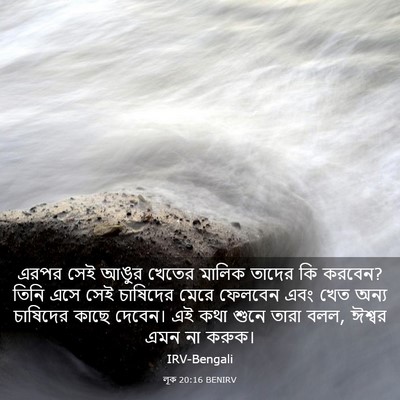 Picture 03 - লূক 20:16 BENIRV - এরপর সেই আঙুর - Bible Verse Picture